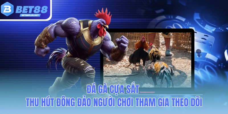 da ga cua sat thu hut dong dao nguoi choi tham gia theo doi